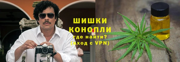 PSILOCYBIN Богородицк