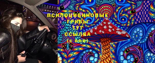 мяу мяу мука Белоозёрский