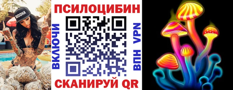 Купить  Усмань  Галлюциногенные грибы мицелий 